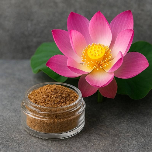 Sacred Lotus Powder 100 g Mylo Opt global supplier Sacred Lotus Powder 100 g cosmetic ingredient Mylo Opt