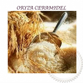 Купить ORYZA CERAMIDE­L, 10 грамм в Украине