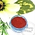Red Cosmetic Pigment 10 g, photos, reviews, use
