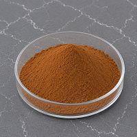 Cinnamon Extract Powder 5 g cosmetic ingredient Mylo Opt