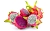 Dragonfruit & Pear food flavor, 1 L cosmetic ingredient Mylo Opt