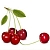 Ароматизатор Cherry Wild Stevia 1 літр