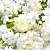 Fragrance Oil White flowers, 1 L, photos, reviews, use