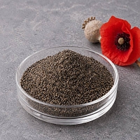 Maca meal 1 kg cosmetic ingredient Mylo Opt
