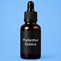 Phyllanthus Emblica 100 g cosmetic ingredient Mylo Opt