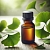 Ginkgo Biloba Extract Concentrate 5 ml cosmetic ingredient Mylo Opt