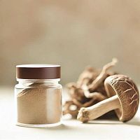 Экстракт Мейтаке сухой, 1 кг ингредиент для косметики и мыла Мыло Опт