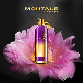 Купить Отдушка Sweet Peony MONTALE, 1 л в Украине