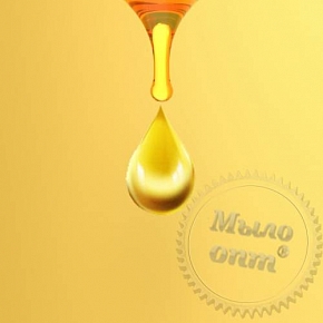 Купить Olive Active Omega, комплекс Омега кислот, 1 л в Украине