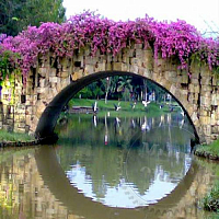 Суха гранульована віддушка Flower Bridge, 1 кг