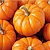 Купить Pumpkin Enzyme Peel – очищает поры, 25 мл в Украине