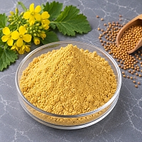 Mustard scrub 50 g cosmetic ingredient Mylo Opt