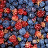Dry granulated Fragrance Oil Forest Berries, 1 kg