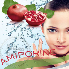 Купить Amiporine, 100 мл в Украине