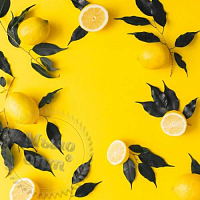 Loyal lemon Fragrance Oil, 1 l