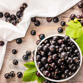 Купить Отдушка Acai Berries & Satin, 1 литр в Украине