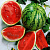 Flavoring confectionery Watermelon, 1 liter, photos, reviews, use