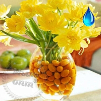 Водорастворимая отдушка Zest spring, 1 литр