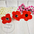 Poppy head small, 5 cm, photos, reviews, use