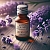 Water soluble - Lavender Fragrance Oil, 10 ml, photos, reviews, use