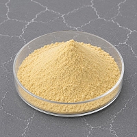 Mango Extract Powder 10 g cosmetic ingredient Mylo Opt