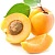 Apricot extract, 1 liter, photos, reviews, use