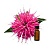 Essential oil monarda, 5 ml, photos, reviews, use