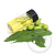 Neem Raf oil, 25 ml, photos, reviews, use