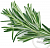 Food flavoring Rosemary, 50 ml, photos, reviews, use