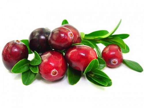 Flavor CRANBERRY 1203, 1 liter, photos, reviews, use