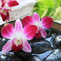 Отдушка Water Orchid, 1 литр