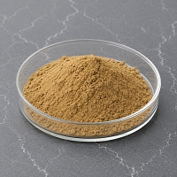 Immortelle Extract Powder 15 1 kg cosmetic ingredient Mylo Opt