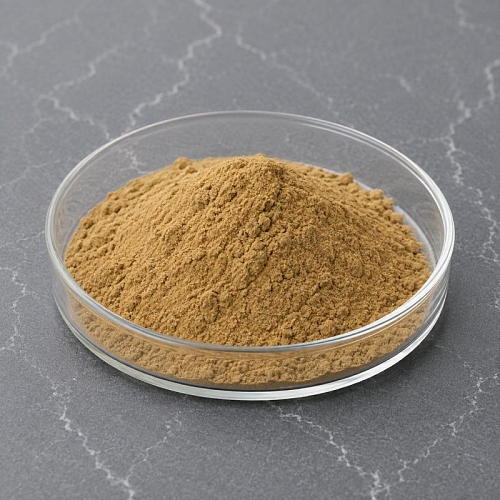 Immortelle Extract Powder 15 1 kg Mylo Opt global supplier Immortelle Extract Powder 15 1 kg cosmetic ingredient Mylo Opt