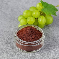 Grape Seed Powder 100 g cosmetic ingredient Mylo Opt