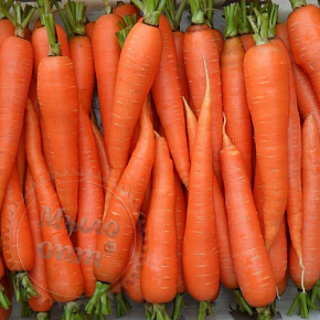 Купить Отдушка Морковь с петрушкой, 1 литр в Украине