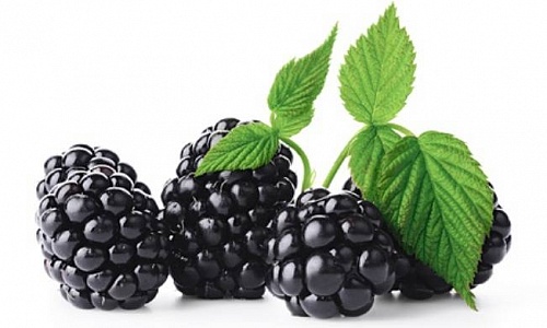 Fragrance Oil Blackberry, 10 ml, photos, reviews, use