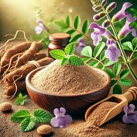 Экстракт Шлемника сухой, 1 кг