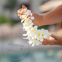 Купить Отдушка Plumeria, 1 литр в Украине