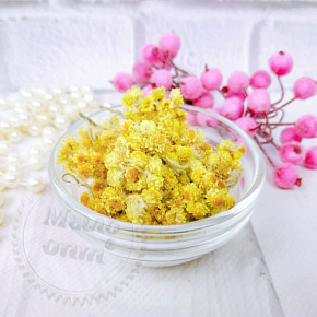Купить Сухоцвет цветков Бессмертника, 10 грамм в Украине