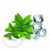 Fragrance Oil Mint Menthol, France, 1 liter