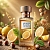 Lemon Hazel Fragrance Oil 1 L, photos, reviews, use