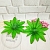 Sheet lining Peony 12, 17 cm green with brown cosmetic ingredient Mylo Opt