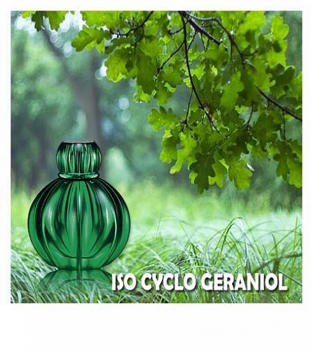 Iso Cyclo Geraniol 1 g, photos, reviews, use