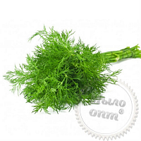 Dill extract, 50 ml