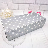 Pencil case box Silver with stars