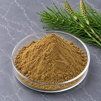 Екстракт Хвоща сухий 1 кг