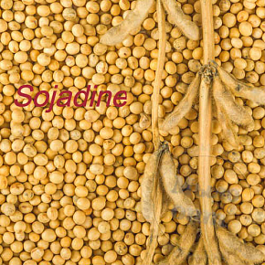 Купить Sojadine, 1 кг в Украине
