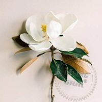 Купить Отдушка White Magnolia, 50 мл в Украине