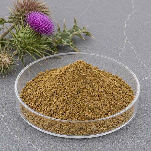 Milk Thistle Extract Powder (30% by silymarin) 1 kg cosmetic ingredient Mylo Opt