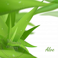 Aloe Vera Fragrance Oil, 1 liter